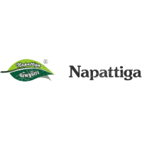 西双版纳俊都投资控股集团有限公司